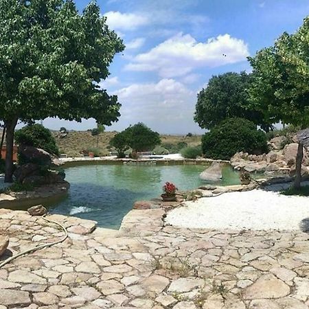 Argés Finca El Cerco A 5M De Puy Du Fou Y 10M A Casco Antiguo De Toledo 빌라 외부 사진