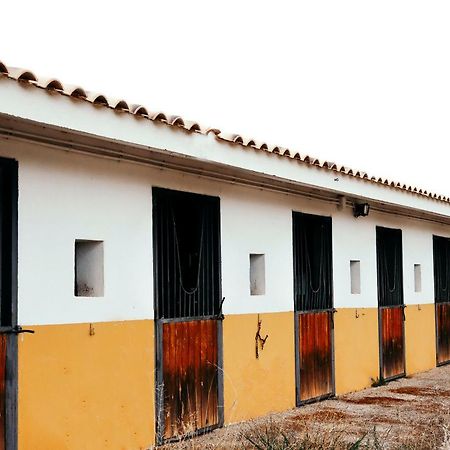 Argés Finca El Cerco A 5M De Puy Du Fou Y 10M A Casco Antiguo De Toledo 빌라 외부 사진