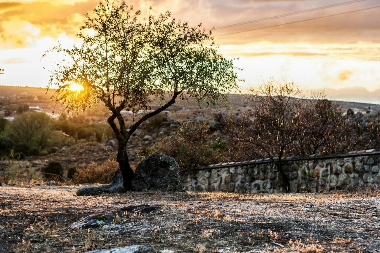 Argés Finca El Cerco A 5M De Puy Du Fou Y 10M A Casco Antiguo De Toledo 빌라 외부 사진